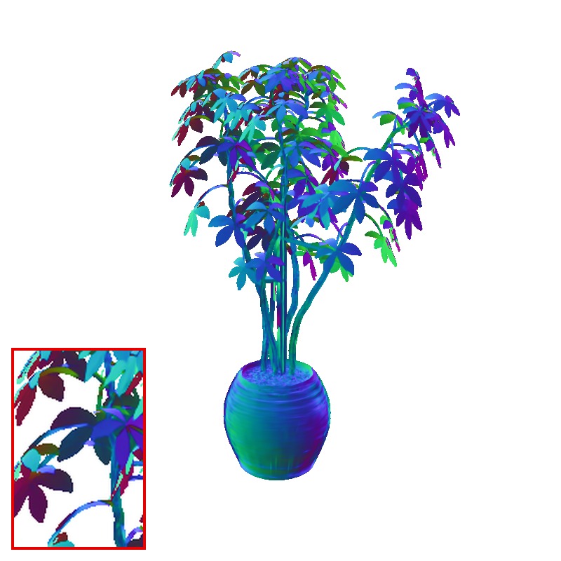 Ours ficus normal